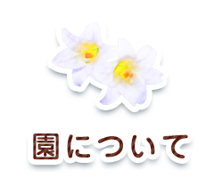 ɂ